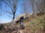 P1090160_800x600.jpg