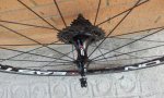 20120326_133343.jpg