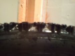 DSC00591.jpg