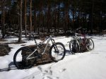 Foto0049p.jpg