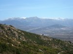 IMG_3547.JPG
