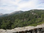 IMG_3545.JPG