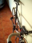 bicis2.png