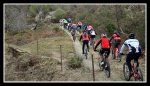 DSC04769.JPG