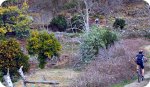 DSC04771.JPG