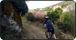 DSC04773.JPG