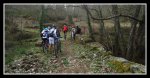DSC04776.JPG