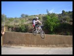 img0010wt.jpg