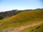 DSCN2908.jpg