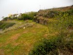DSCN2929.jpg