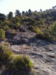 img0907db.jpg
