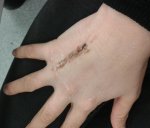 2012-03-27 14.23.49.jpg