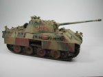 Panther Final (51).JPG