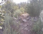 Foto0663.jpg