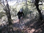 parc natural de Sant Llorent. 192.jpg