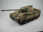 panther_final__24_.JPG