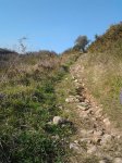2012-03-27 .jpg