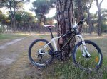 27032012257.jpg