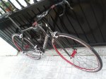 roubaix 2.jpg