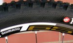 front-rear.jpg