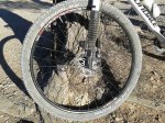 29ER-2.jpg