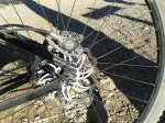 29ER-4.jpg