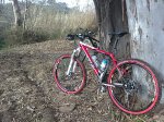 25032012219.jpg