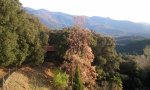 2012-03-24 07.42.28.jpg