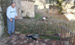 2012-03-24 07.49.50.jpg