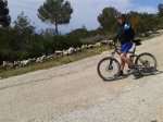 2012-03-24 11.27.55.jpg