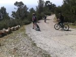 2012-03-24 11.29.07.jpg