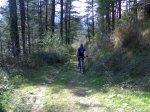 28032012315.jpg