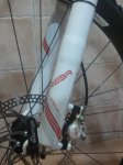 IMG_20120328_220821.jpg