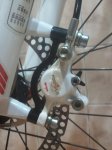 IMG_20120328_220837.jpg