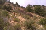 IMAG0504.jpg
