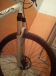 DSC00599.jpg