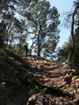 SAM_1161 (Copiar).JPG
