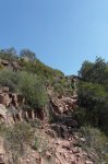 SAM_1177 (Copiar).JPG