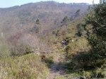 29032012550.jpg