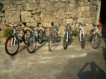 bicis1.jpg