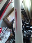 DSC05063_redimensionar.JPG