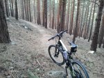 2012-03-29 17.49.49.jpg