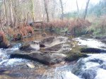DSC06114.JPG