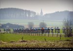 ddp12st03-field.jpg