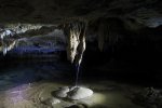 IMG_8820.JPG