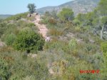 CIMG1302 (Copiar) (Copiar).jpg