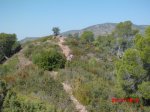CIMG1303 (Copiar) (Copiar).jpg