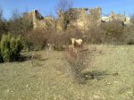 24032012736.jpg