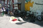 DSC09749.jpg