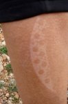 DSC01014.jpg